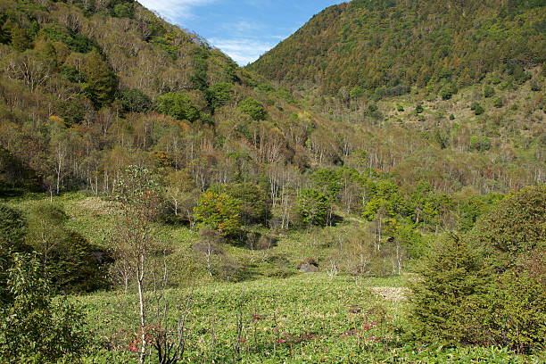 Mt. Sajiki landscape in Japan Mt. Sajiki in Japan early autumn, it's the landscape. dispelled stock pictures, royalty-free photos & images