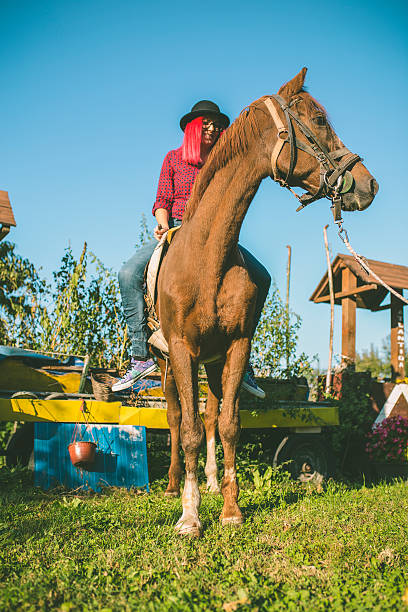 istock Beautiful woman on a horse 613226780