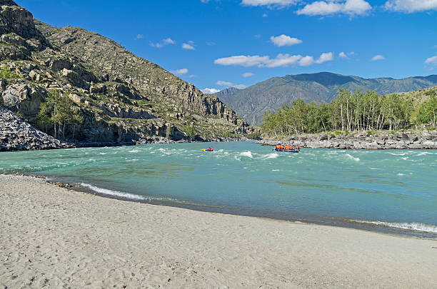 Rafting on Katun. Altai, Russia. Rafting on Katun. Altai Mountains, Russia. Sunny summer day. altay state nature reserve stock pictures, royalty-free photos & images