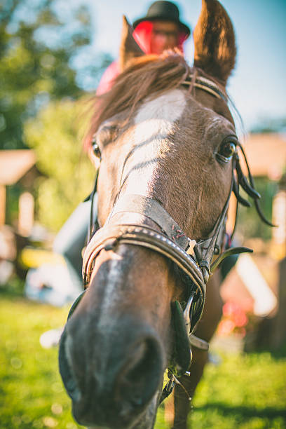 istock Beautiful woman on a horse 613227458