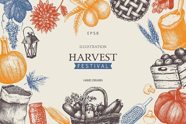 illustrations, cliparts, dessins animés et icônes de design vintage avec croquis de récolte dessiné à la main. - vegetable food freshness frame