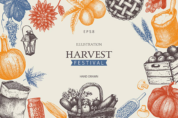 Vintage design with hand drawn harvest sketch. Vector frame with autumn illustration. Traditional Harvest festival decoration. Retro template. fruit borders stock illustrations