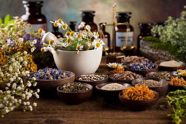 istock Healing herbs on wooden table, mortar and herbal medicine 613233650