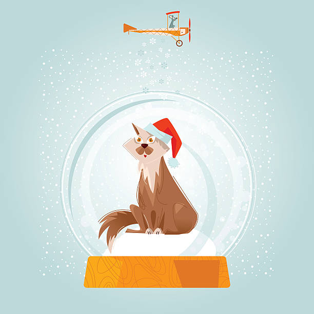 Christmas snow globe and cat wearing the Santa hat. Christmas snow globe and cat wearing the Santa hat. Christmas greeting card. Vector illustration. snow globe empty silhouette stock illustrations