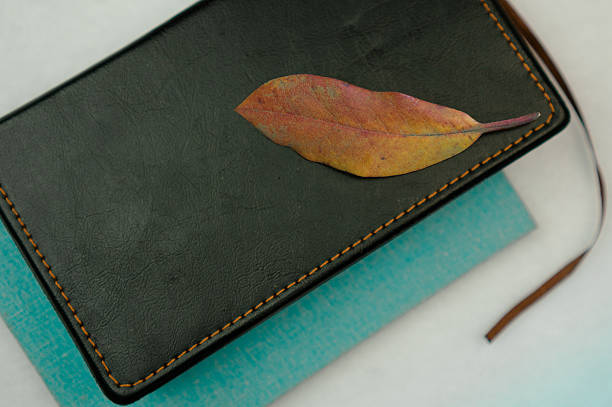 istock still life. yellow leaf rhododendron, books on white cloth. close 613236602