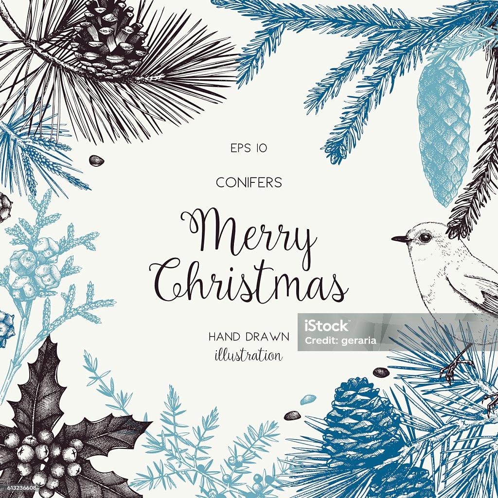 Christmas greeting card or invitation design. Vector frame with hand drawn conifers sketch. Vintage background with pine, spruce, cedar, cypress, fir, larch and juniper illustration. Winter stock vector