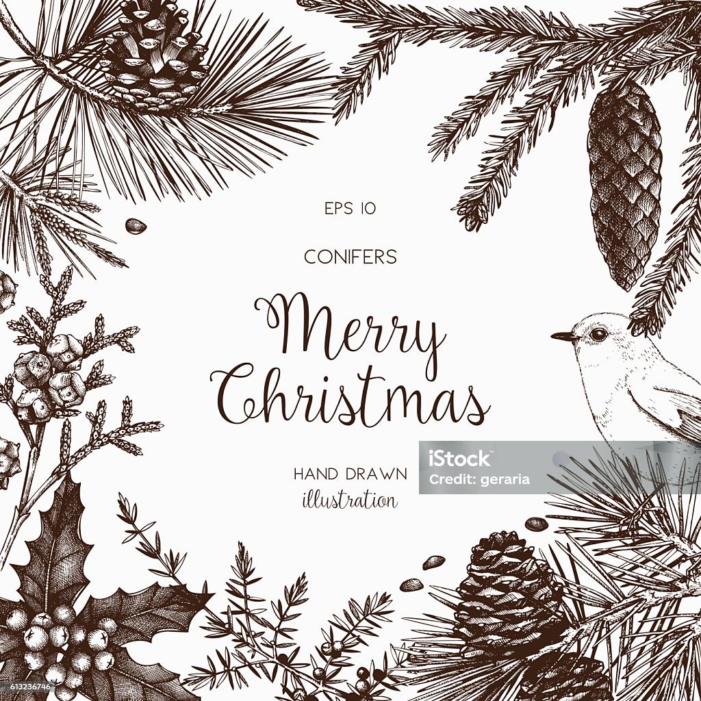 Christmas greeting card or invitation design. Vector frame with hand drawn conifers sketch. Vintage background with pine, spruce, cedar, cypress, fir, larch and juniper illustration. Woodland stock vector