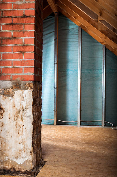 홈 절연 - insulation roof attic home improvement 뉴스 사진 이미지