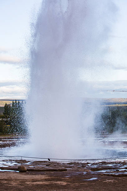 istock Geyser Park in Iceland 613243820