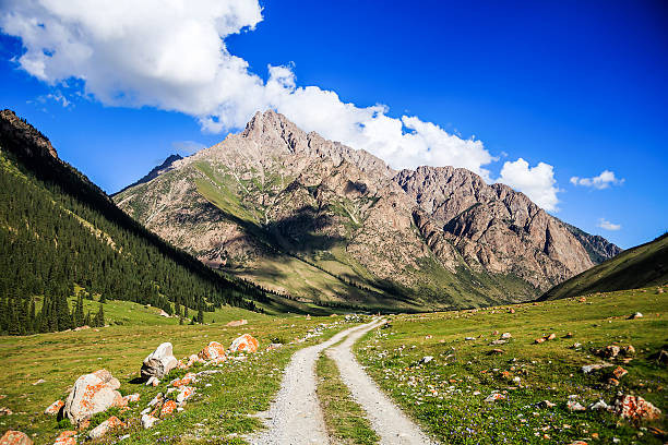 istock Rural road to the mountains 613244594