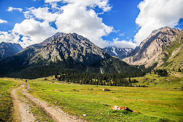 istock Mountain landscape with rural road 613244674