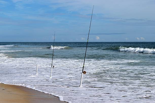 istock Surf Fishing Poles on the beach 613246620