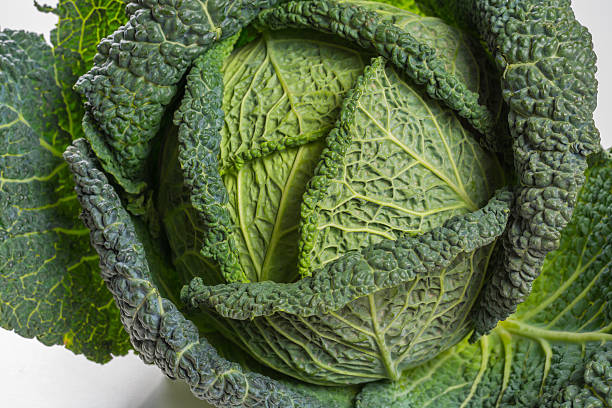 istock Whole head of savoy cabbage over white background 613246632
