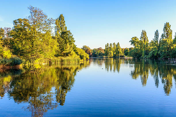 vue de la longue eau à hyde park - kensington gardens photos et images de collection