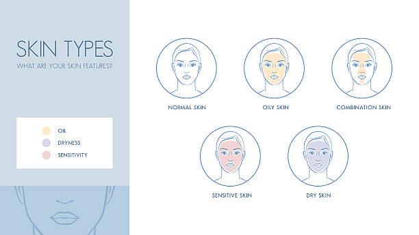 ilustrações, clipart, desenhos animados e ícones de tipos de pele - aspecto da epiderme
