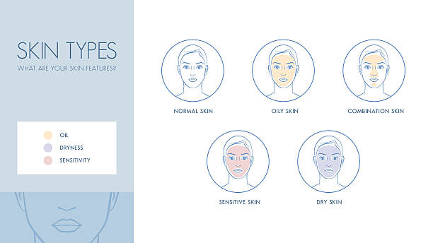 Skin types vector art illustration