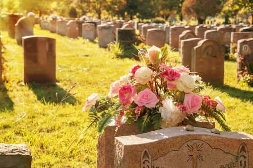 Rosas en un cementerio con lápidas photo