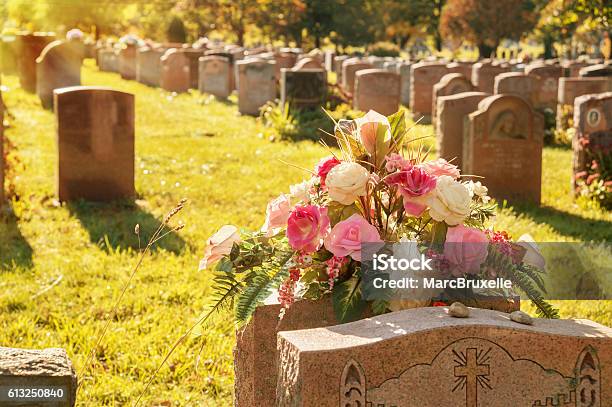 Roses In A Cemetery With Headstones Stock Photo - Download Image Now - Cemetery, Funeral, Flower