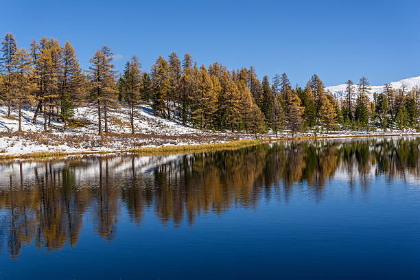 istock lake mountains reflection snow autumn 613251758