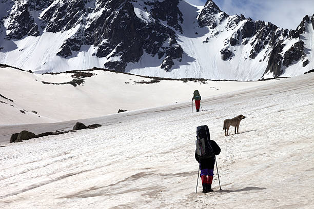 istock Two hikers with dog at spring snowy mountains 613251764