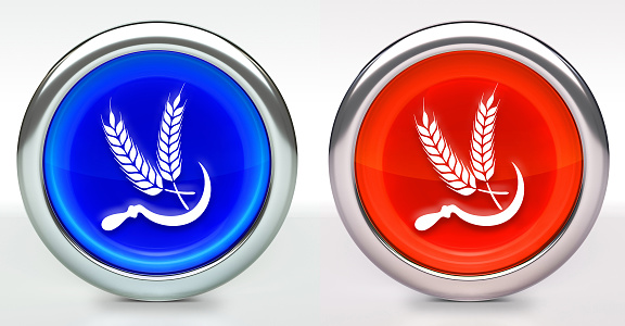 Wheat Icon on Button with Metallic Rim. The icon comes in two versions blue and red and has a shiny metallic rim. The buttons have a slight shadow and are on a white background. The modern look of the buttons is very clean and will work perfectly for websites and mobile aps.
