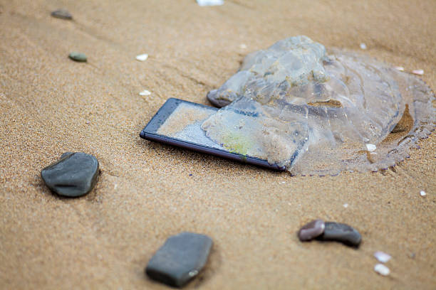 istock Lost Phone in the Sea 613253548