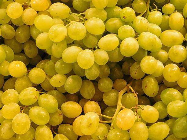 texture of white grapes