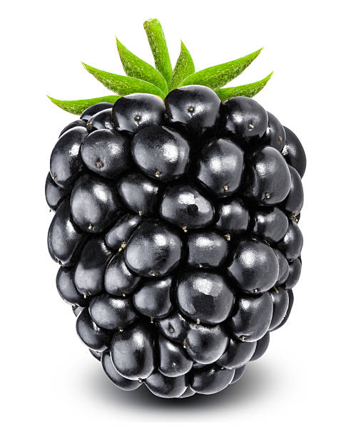 istock Blackberry isolated on white background with clipping path 613254112