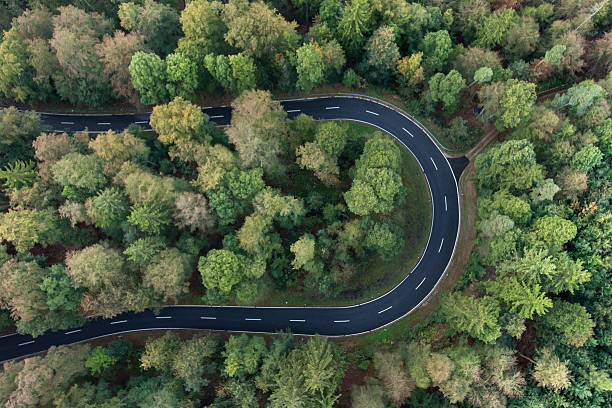 istock Road curve in the forest aerial view 613300548