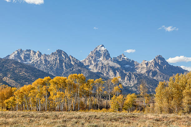 istock Autumn in the Tetons 613300846