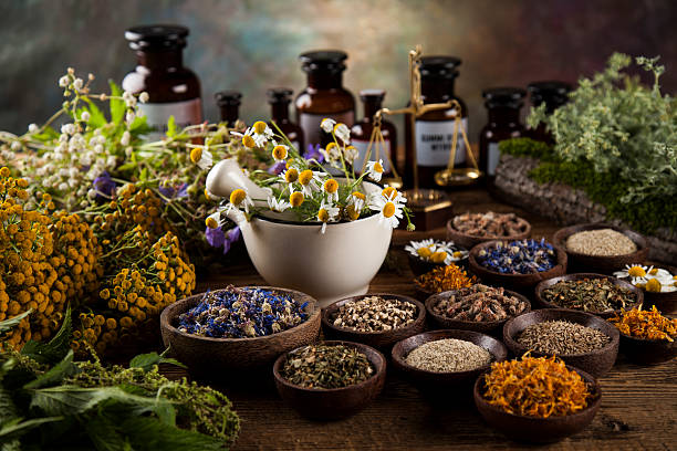 istock Herbal medicine on wooden desk background 613303242