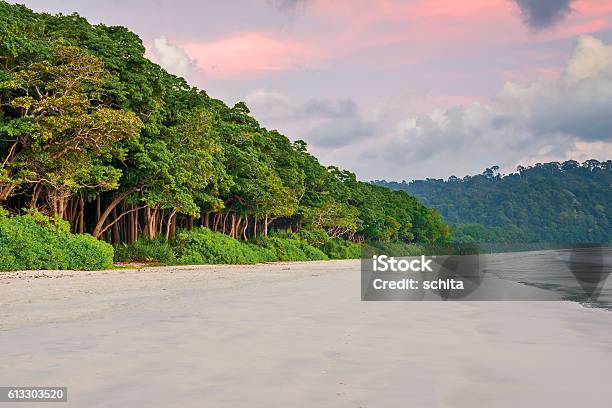 Radha Nagar Beach Stock Photo - Download Image Now - Beach, Andaman Islands, India