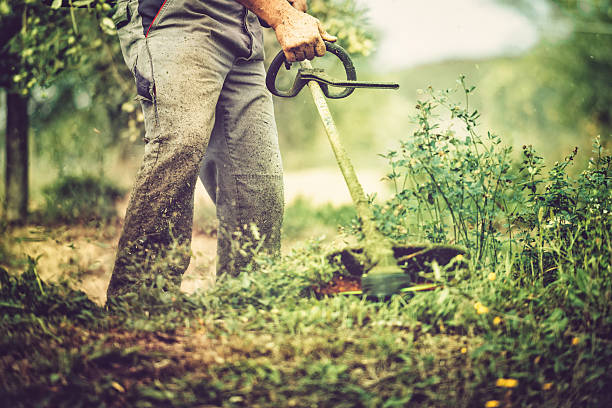 mows the grass Gardener mows with string trimmer. motor living stock pictures, royalty-free photos & images