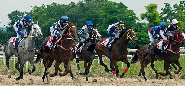corrida de cavalos para o prémio jóquei cluba. - photography running horizontal horse imagens e fotografias de stock