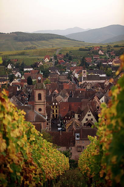 istock EUROPE FRANCE ALSACE 613309042
