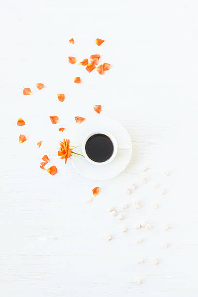 morgen. tasse kaffee, rosenblumen. flachliegen, ansicht von oben - isolated on white breakfast cafe office stock-fotos und bilder