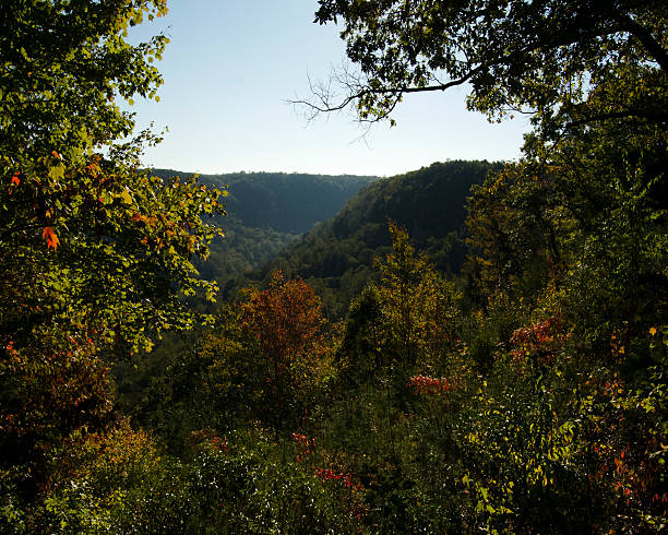 istock Changing Colors in the Mountains 613310508
