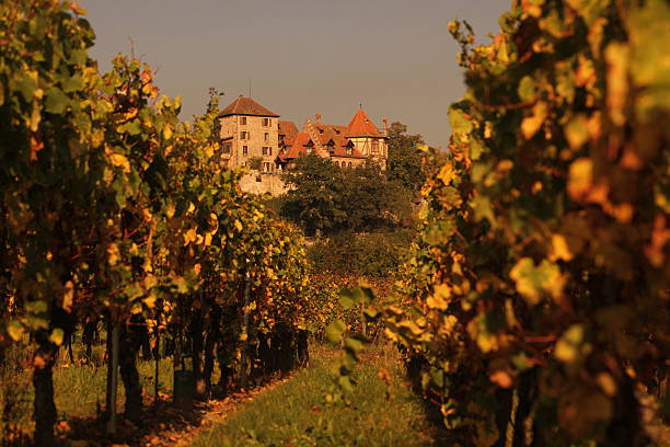 istock EUROPE FRANCE ALSACE 613311238