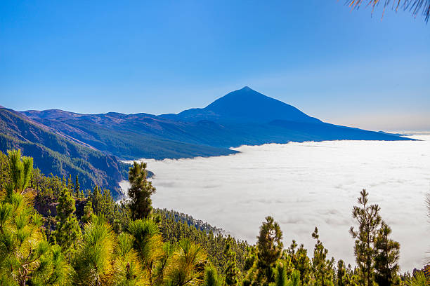 Teides Natural Park Teide's Natural Park and sea cloud over the Puerto La Cruz. sunny day with amazing blue sky in Tenerife. puerto de la cruz tenerife stock pictures, royalty-free photos & images