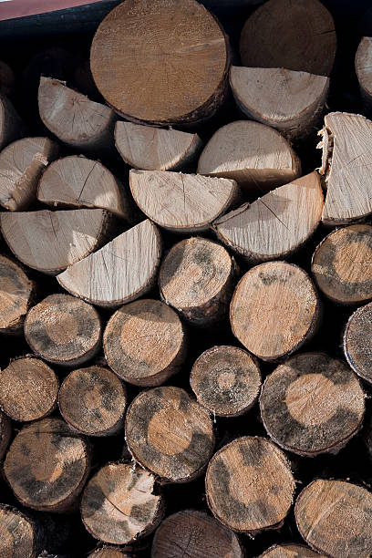 istock Group of piled firewood in winter 613313926