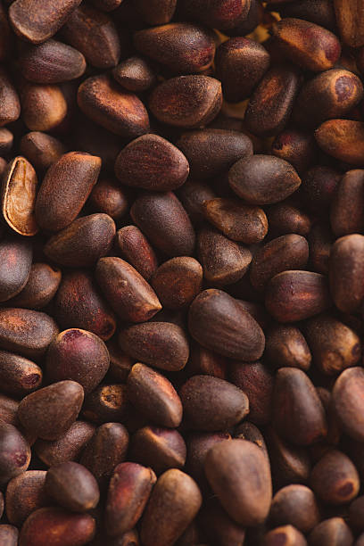 istock Pine nuts in shells of ciberian cedar as a background 613314736