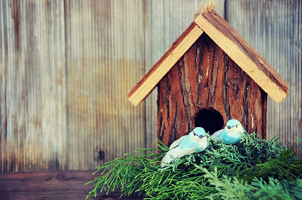 Christmas decor with Christmas tree and bird house
