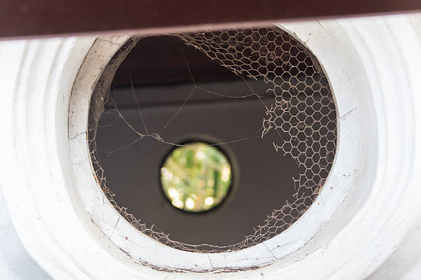 istock Old round window in a building with cobwebs 613316344