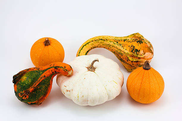 istock Variety of different pumpkins isolated in a white background 613317324