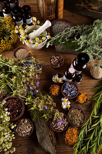 istock Assorted natural medical herbs and mortar on wooden table backgr 613318108