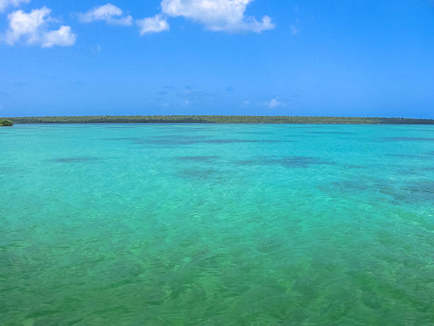istock Pools Saona Island 613319816