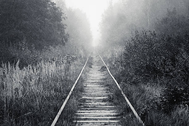 istock Railway goes through foggy forest in morning 613319972