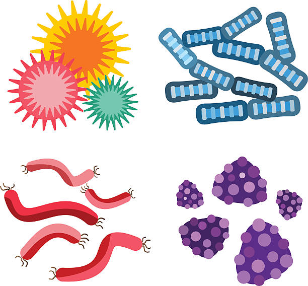 значок вектора вируса бактерий - biohazard symbol computer bug biology virus stock illustrations