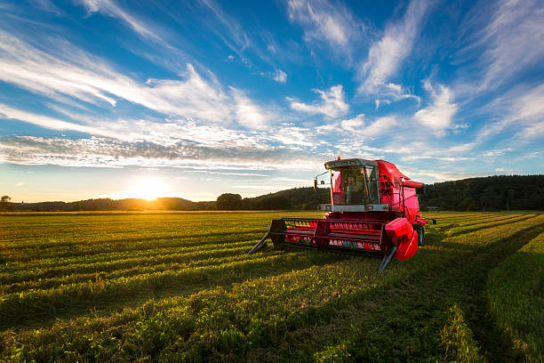 Big red one Big red combine harvester in sunset light agricultural machinery stock pictures, royalty-free photos & images