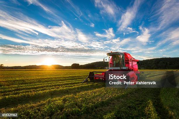 Big Red One Stock Photo - Download Image Now - Agriculture, Combine Harvester, Agricultural Equipment